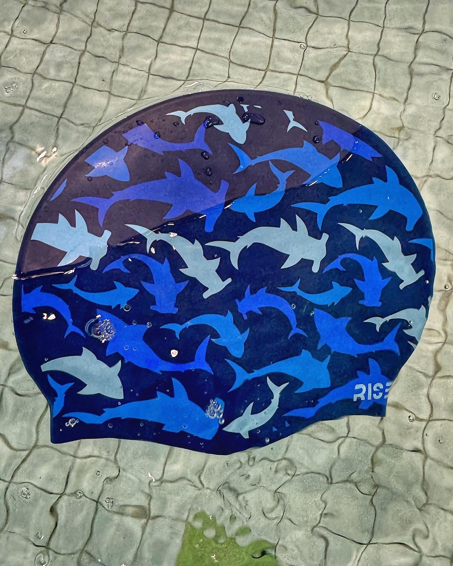 Malpelo Shark Swimming Cap